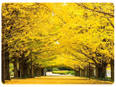 行政書士業務 立川